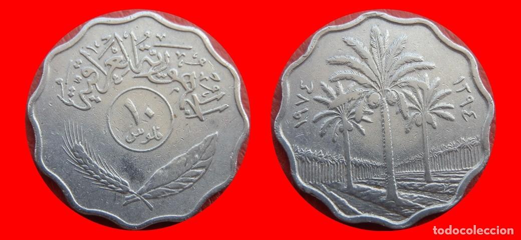Monedas antiguas de Asia: 10 FILS 1984 IRAQ-151393