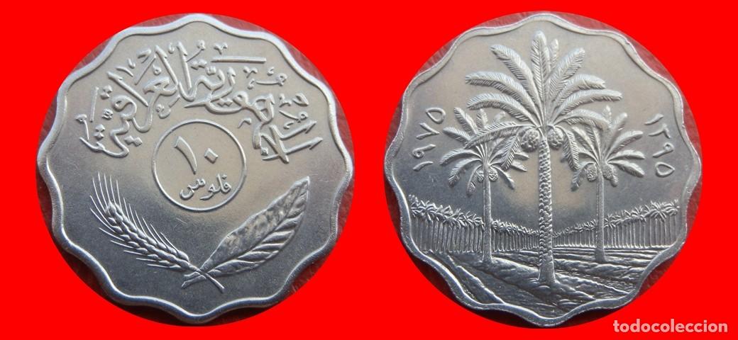 Monedas antiguas de Asia: 10 FILS 1975 IRAQ-151394