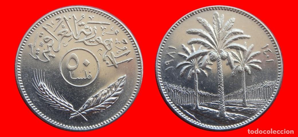Monedas antiguas de Asia: 25 FILS 1981 IRAQ-151395