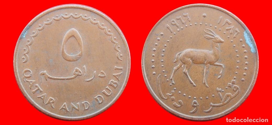 Monedas antiguas de Asia: 5 DIRHEMS 1966 QATAR & DUBAI-152056