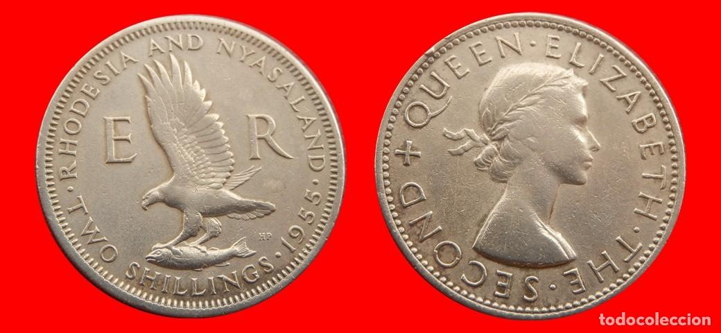Monedas antiguas de Asia: 2 CHELINES 1955 RHODESIA RODESIA & NYASALAND-153027
