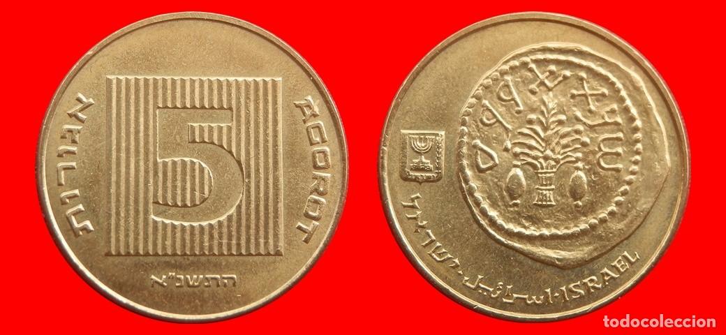 Monedas antiguas de Asia: 5 AGOROT 1991 ISRAEL-153465
