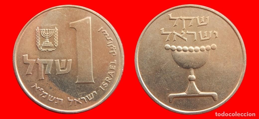 Monedas antiguas de Asia: 1 SHEQEL 1981 ISRAEL-153475