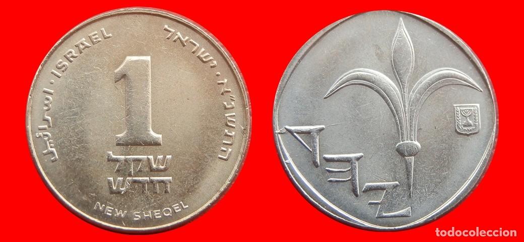 Monedas antiguas de Asia: 1 NUEVO SHEQEL 1991 ISRAEL-153476