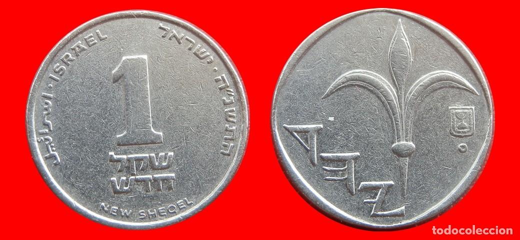 Monedas antiguas de Asia: 1 NUEVO SHEQEL 1995 ISRAEL-153477
