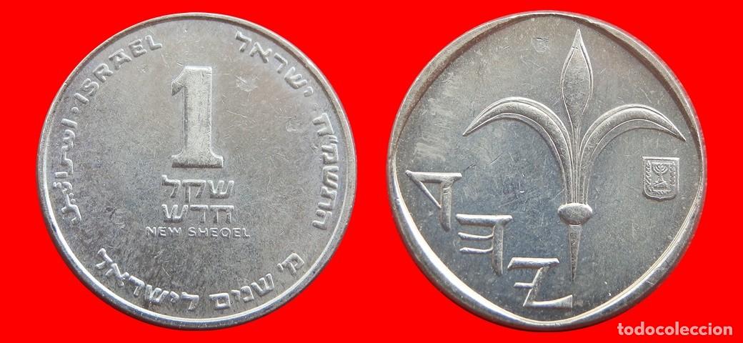 Monedas antiguas de Asia: 1 NUEVO SHEQEL 1988 SIN CIRCULAR ISRAEL-9339SC