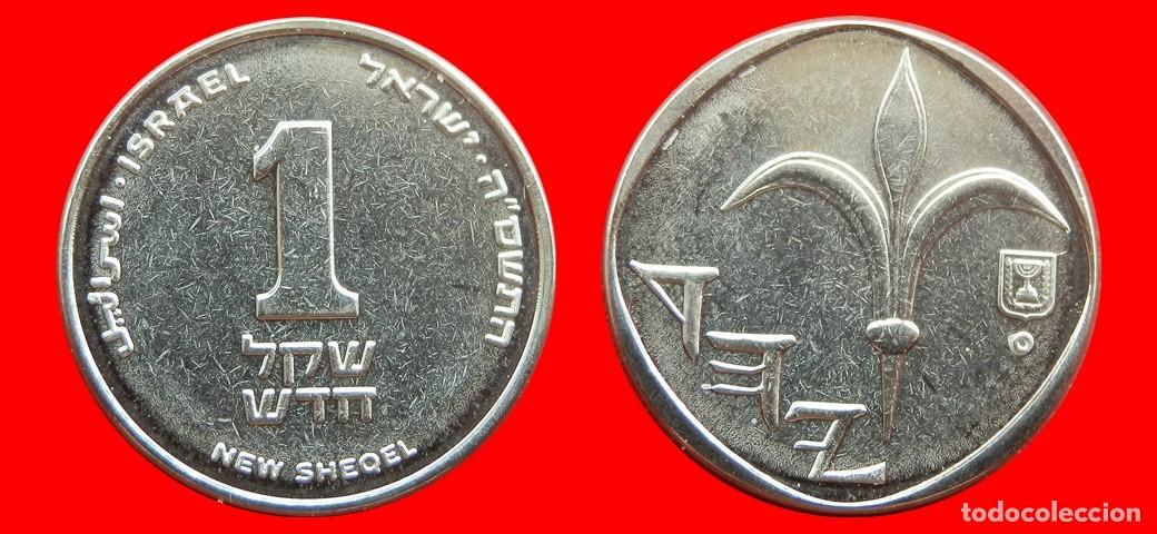 Monedas antiguas de Asia: 1 NUEVO SHEQEL 2005 SIN CIRCULAR ISRAEL-9342SC