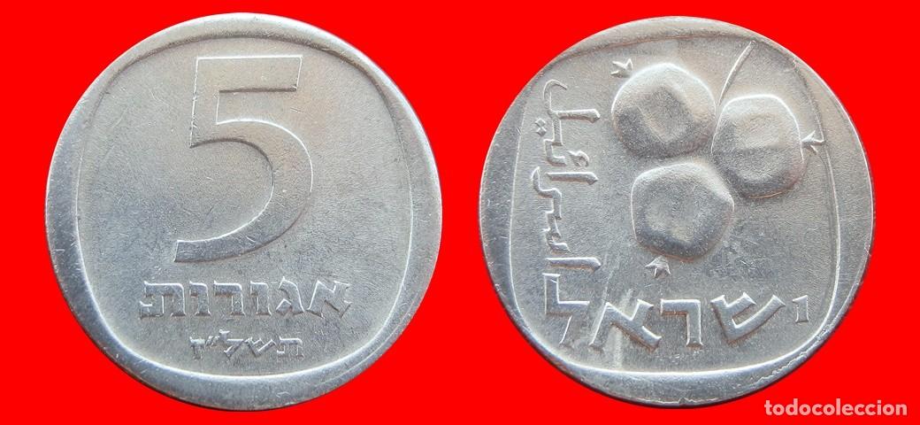 Monedas antiguas de Asia: 5 AGOROT 1977 ISRAEL-153491