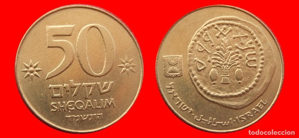 Monedas antiguas de Asia: 50 SHEQALIM 1984 ISRAEL-153505