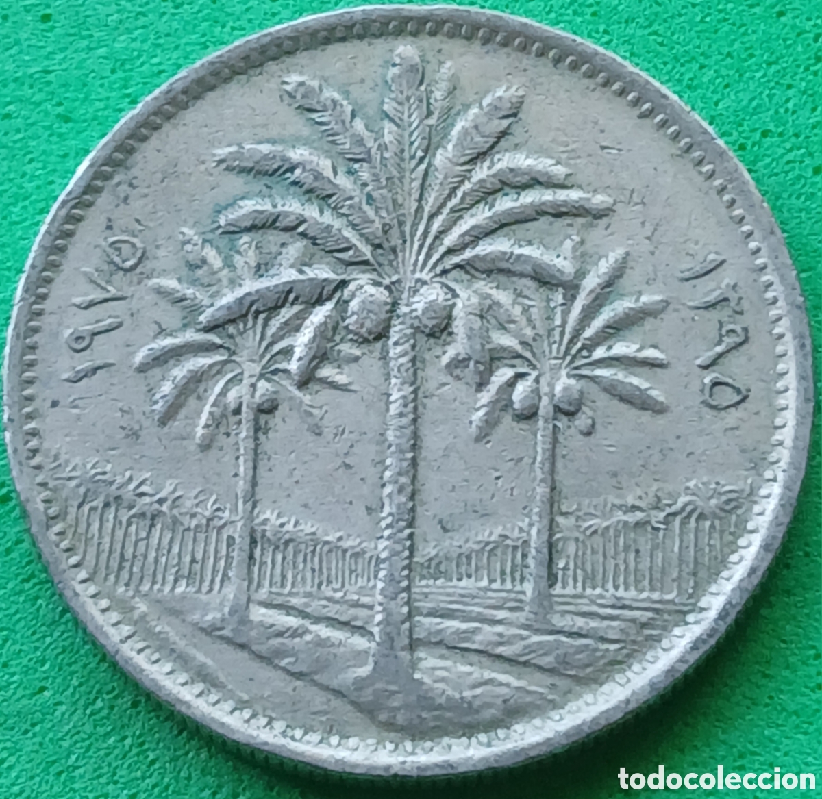 Monedas antiguas de Asia: Irak 50 fils 1975 km#128