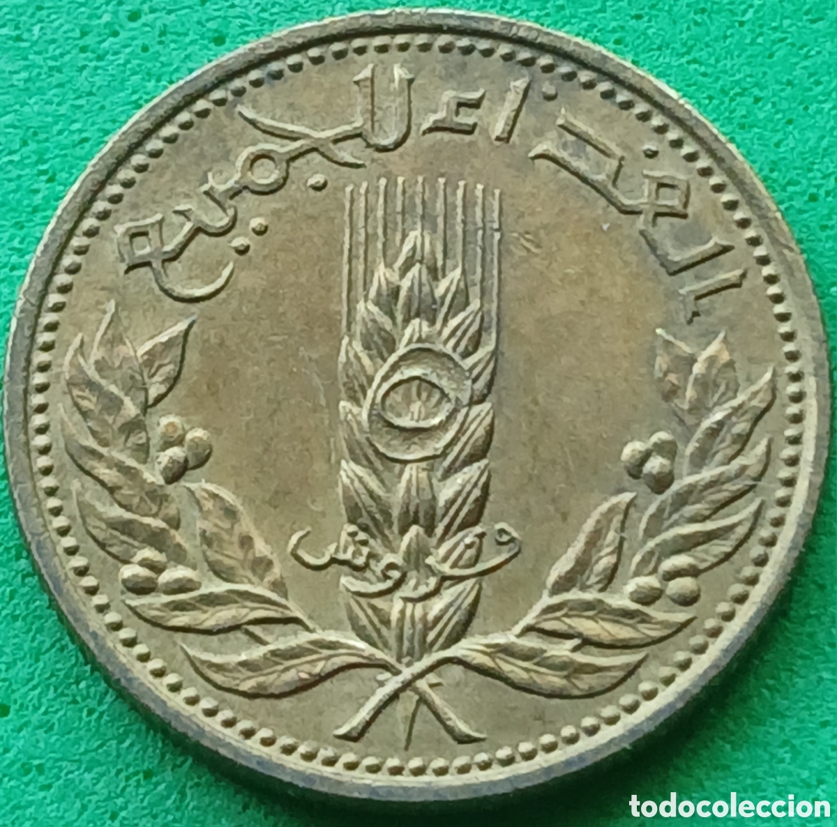 Monedas antiguas de Asia: Siria 5 piastras 1971 km#100 FAO
