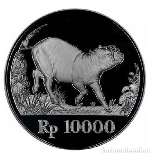 Monedas antiguas de Asia: INDONESIA 10000 rupiah plata 1987 Babi rusa (cerdo salvaje) - VIDA SALVAJE