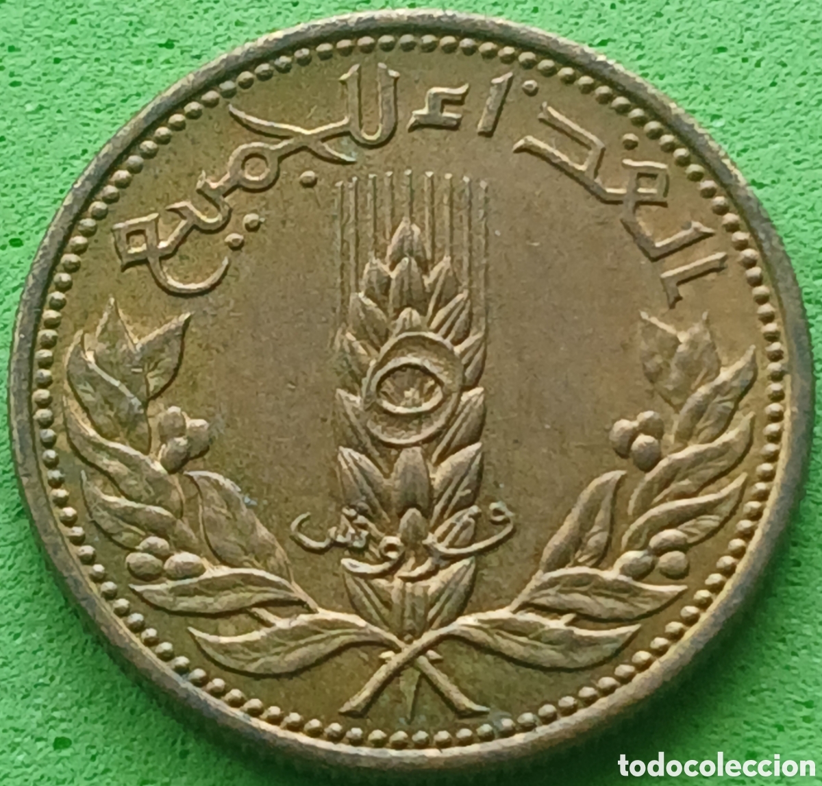 Monedas antiguas de Asia: Siria 5 piastras 1971 km#100 FAO