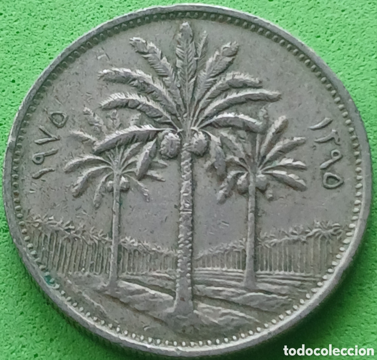 Monedas antiguas de Asia: Irak 50 fils 1975 km#128