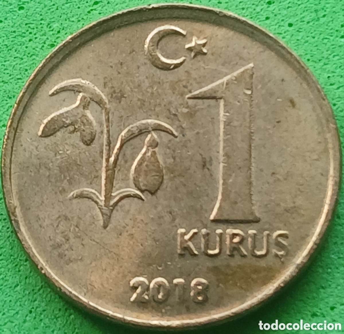 Monedas antiguas de Asia: Turqu&iacute;a 1 kurus 2018 km#1239