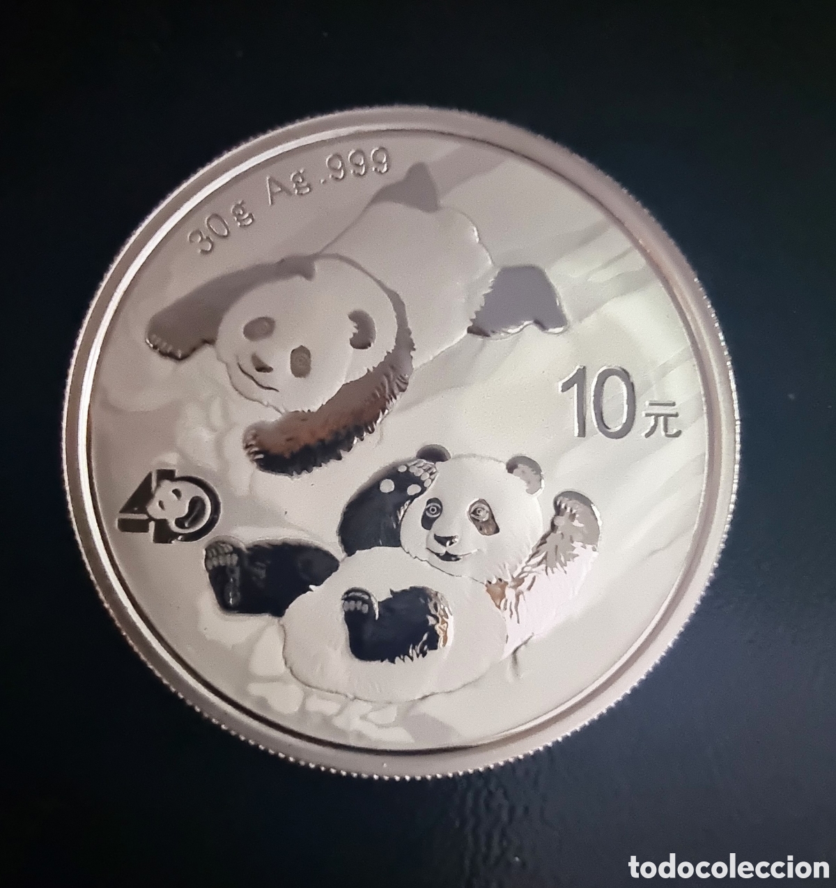 Old Coins of Asia: OSO PANDA del 2022 de 30 GRAMOS de PLATA 999