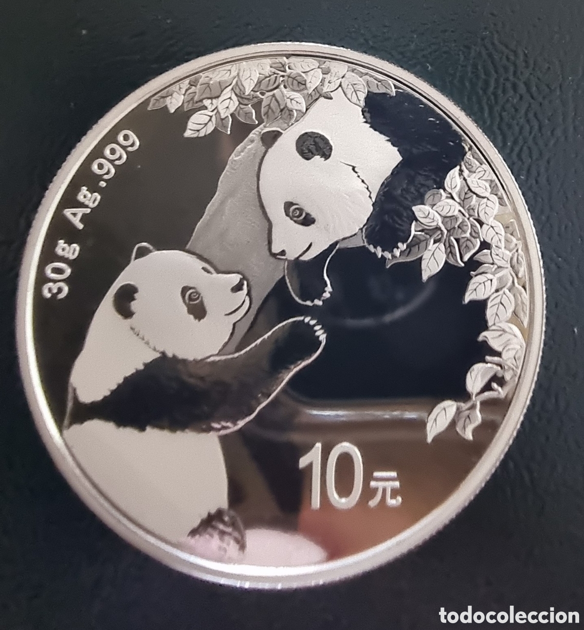 Old Coins of Asia: OSO PANDA del 2023 de 30 GRAMOS de PLATA 999