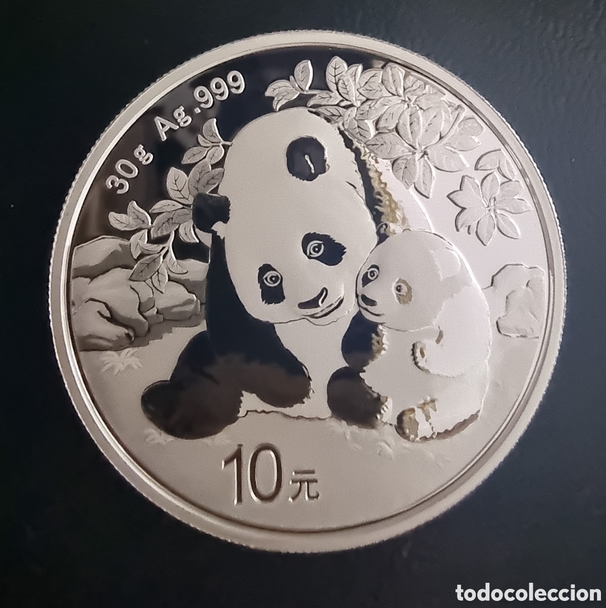 Monnaies anciennes d'Asie: OSO PANDA del 2024 de 30 GRAMOS de PLATA 999