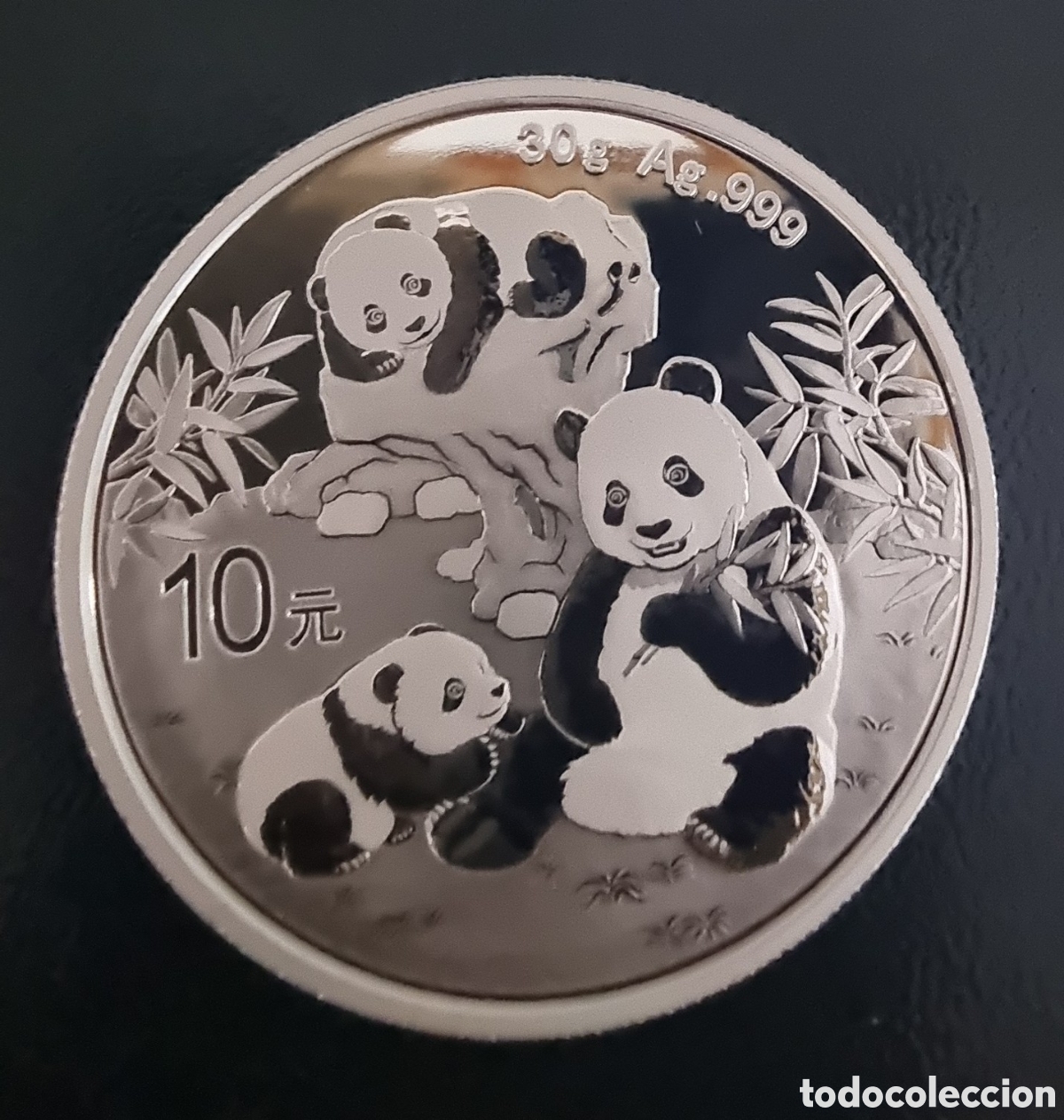 Alte M&uuml;nzen aus Asien: OSO PANDA del 2025 de 30 GRAMOS de PLATA 999