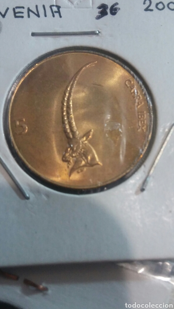 Monedas antiguas de Europa: Moneda Eslovenia 5t.2000 - Foto 1