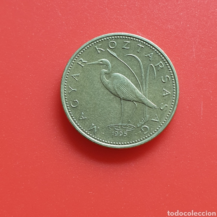 Monedas antiguas de Europa: Hungria 5 forint 1995 - Foto 1