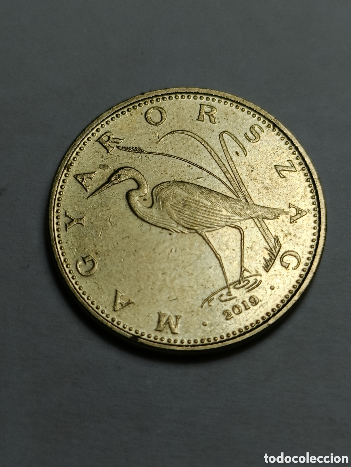 Monedas antiguas de Europa: 5 Forint Hungr&iacute;a (2018) - Foto 1