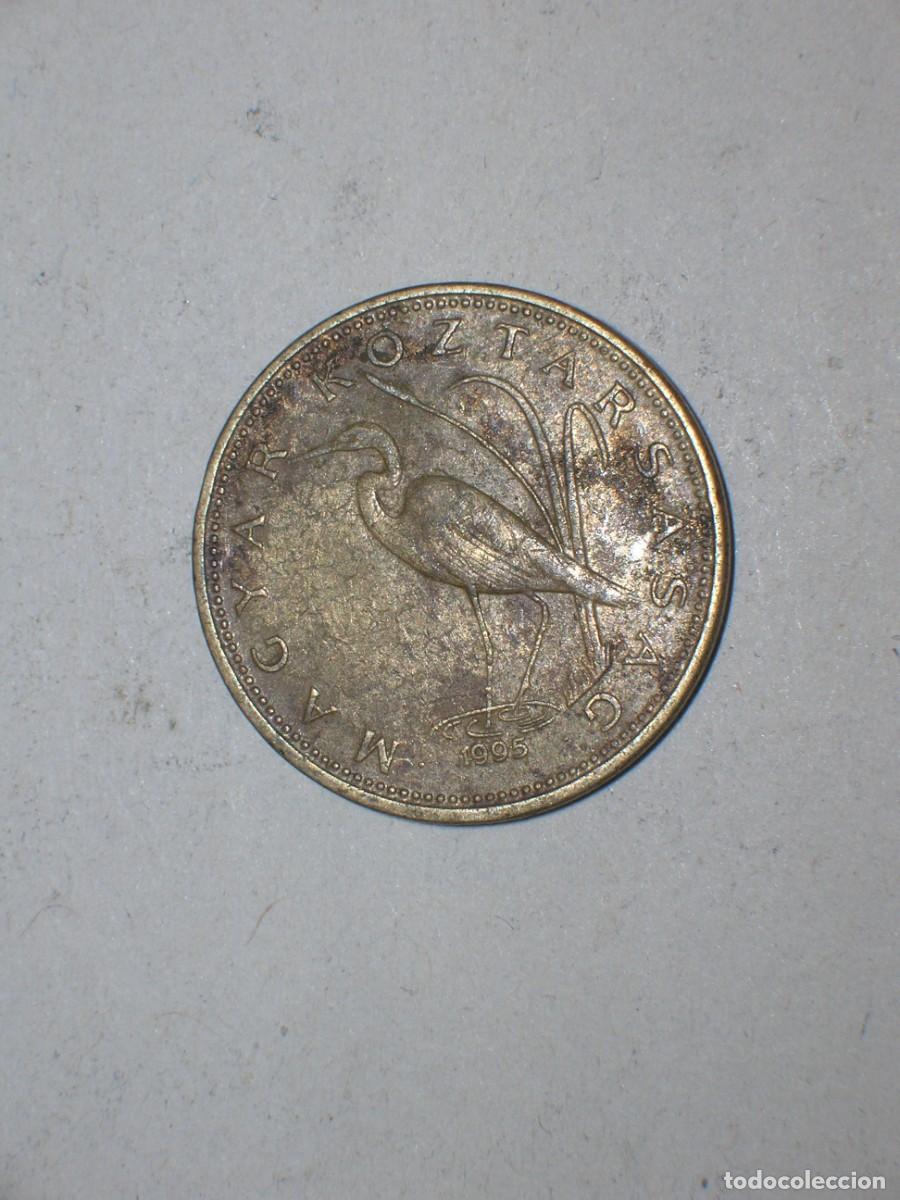 Monete antiche di Europa: HUNGRIA 5 forint 1995 (18081)