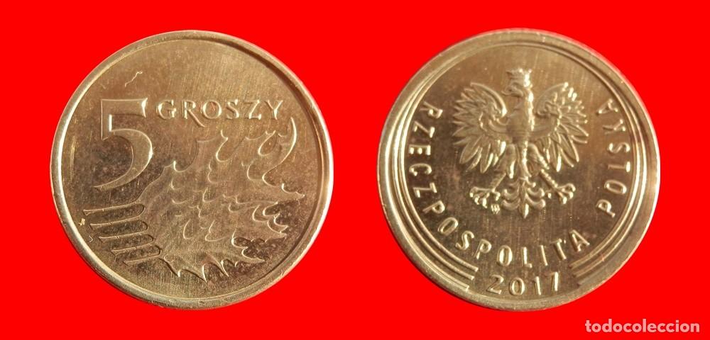 Monedas antiguas de Europa: 5 GROSZY 2017 POLONIA-99844
