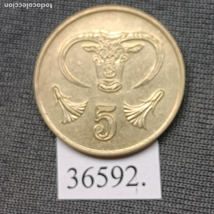 Monedas antiguas de Europa: Chipre 5 c&eacute;ntimos 1991 - Foto 1