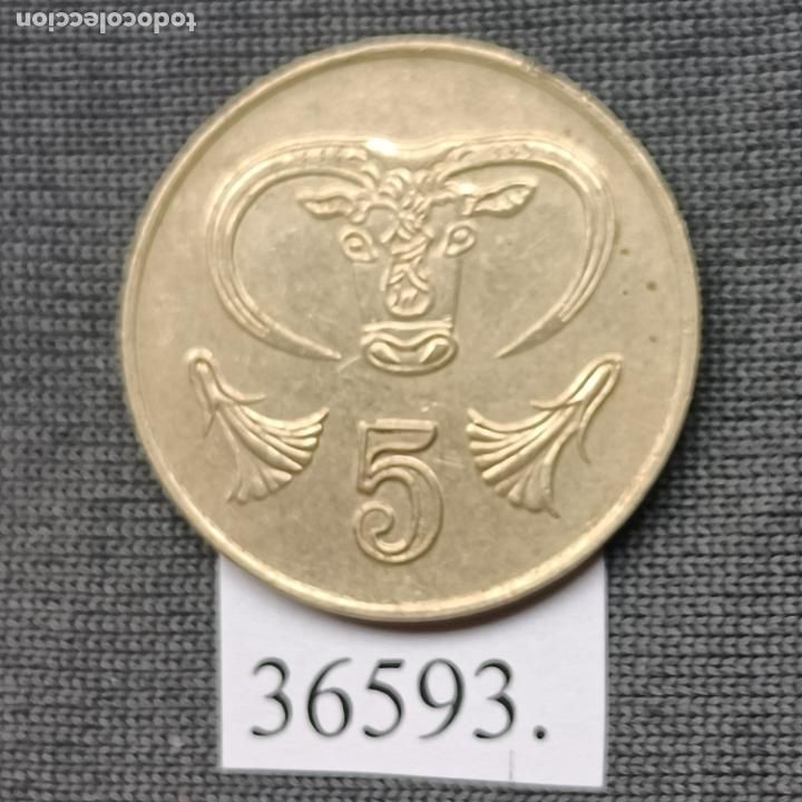 Monedas antiguas de Europa: Chipre 5 c&eacute;ntimos 1994 - Foto 1