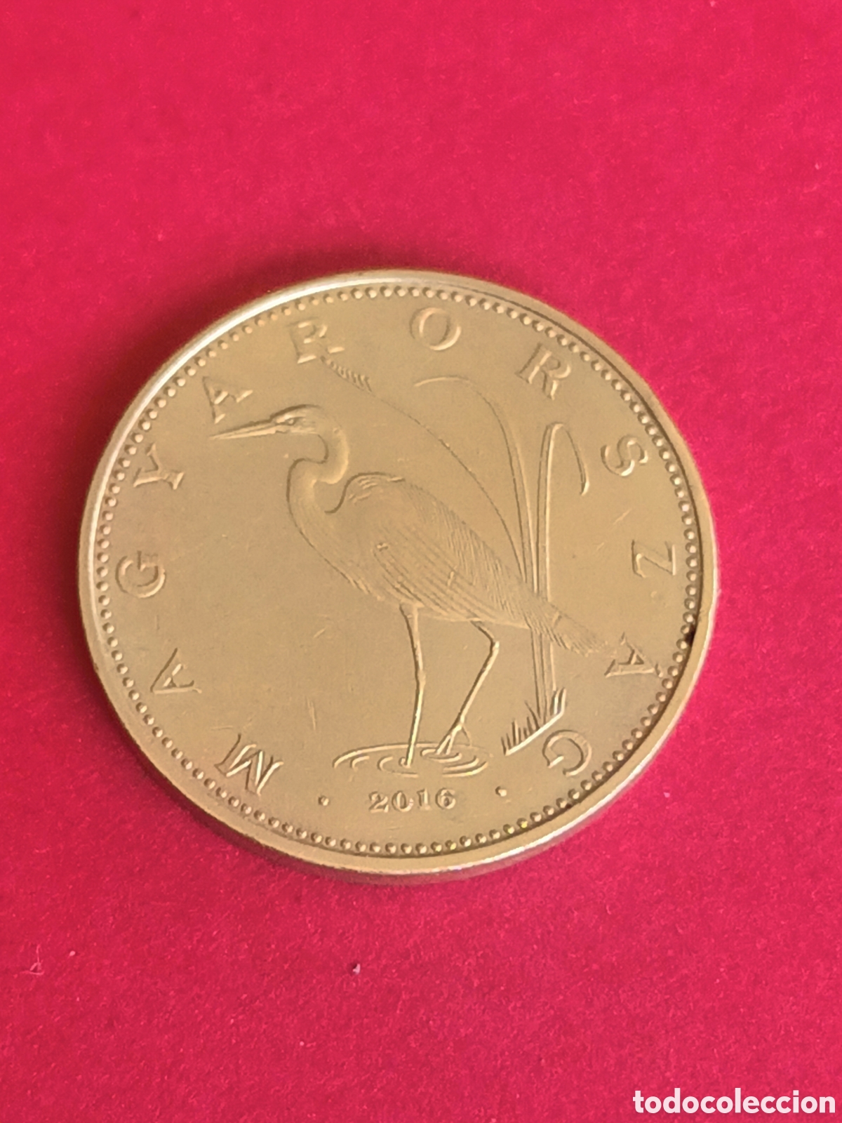 Monedas antiguas de Europa: HUNGR&Iacute;A. 5 FLORINES DE 2016. - Foto 1