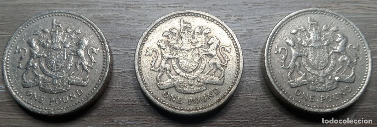 Monedas antiguas de Europa: 3 monedas de 1 pound, Isabel II, Brit&aacute;nicas, 1983