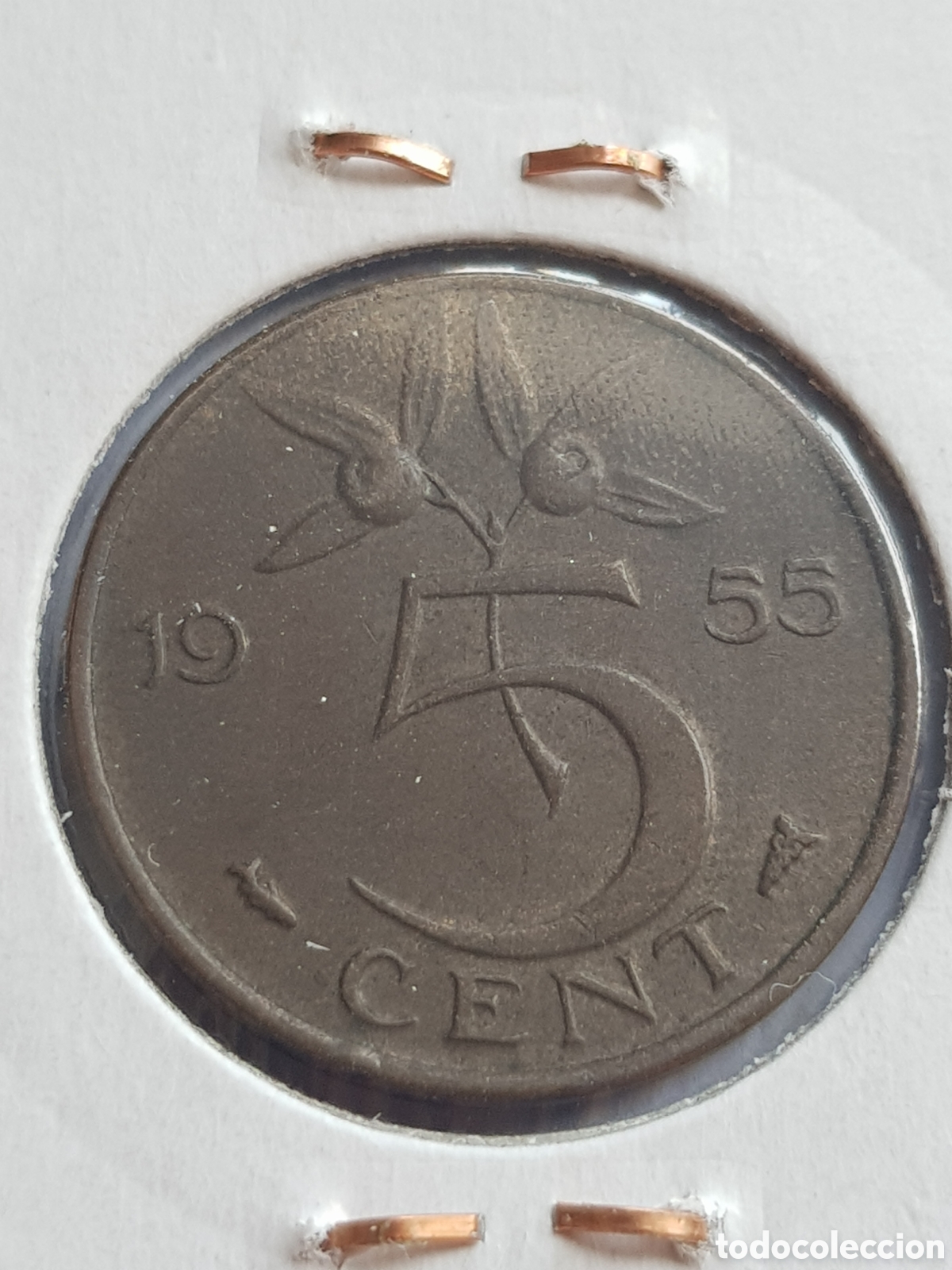 Monedas antiguas de Europa: 5 c&eacute;ntimos de Gulden 1955 Holanda Cents - Foto 2