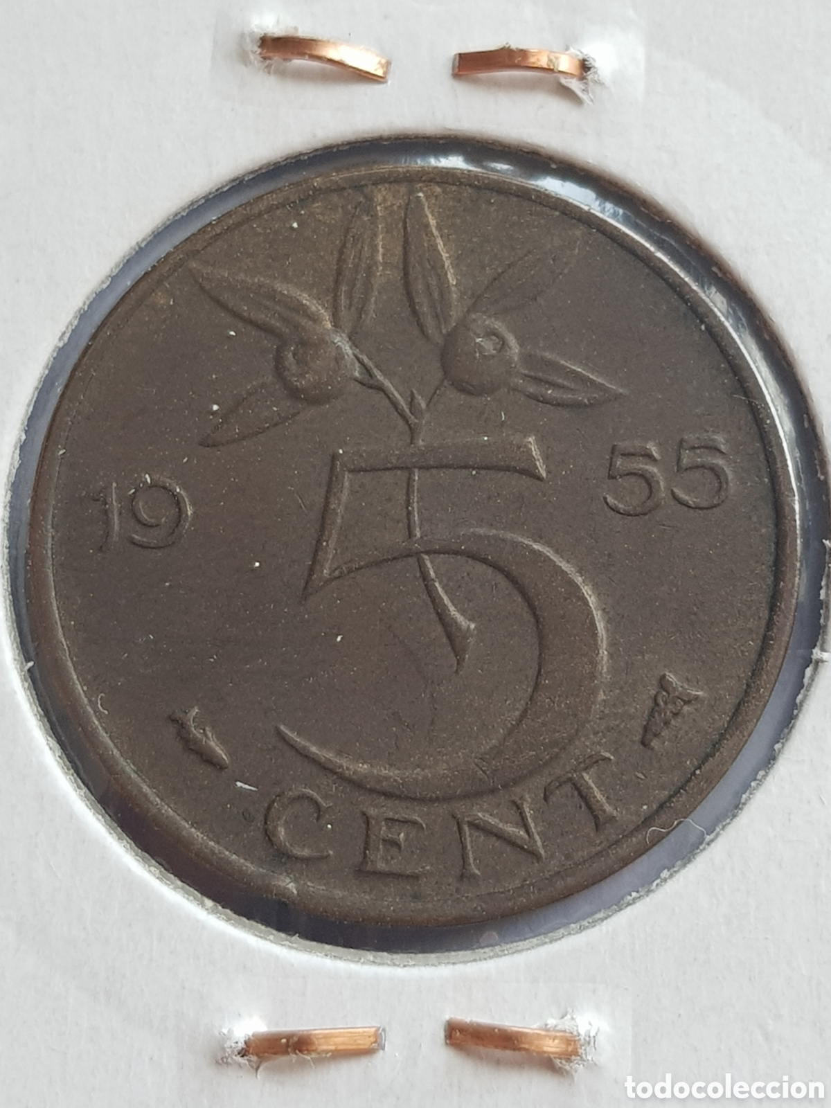 Monedas antiguas de Europa: 5 c&eacute;ntimos de Gulden 1955 Holanda Cents - Foto 1
