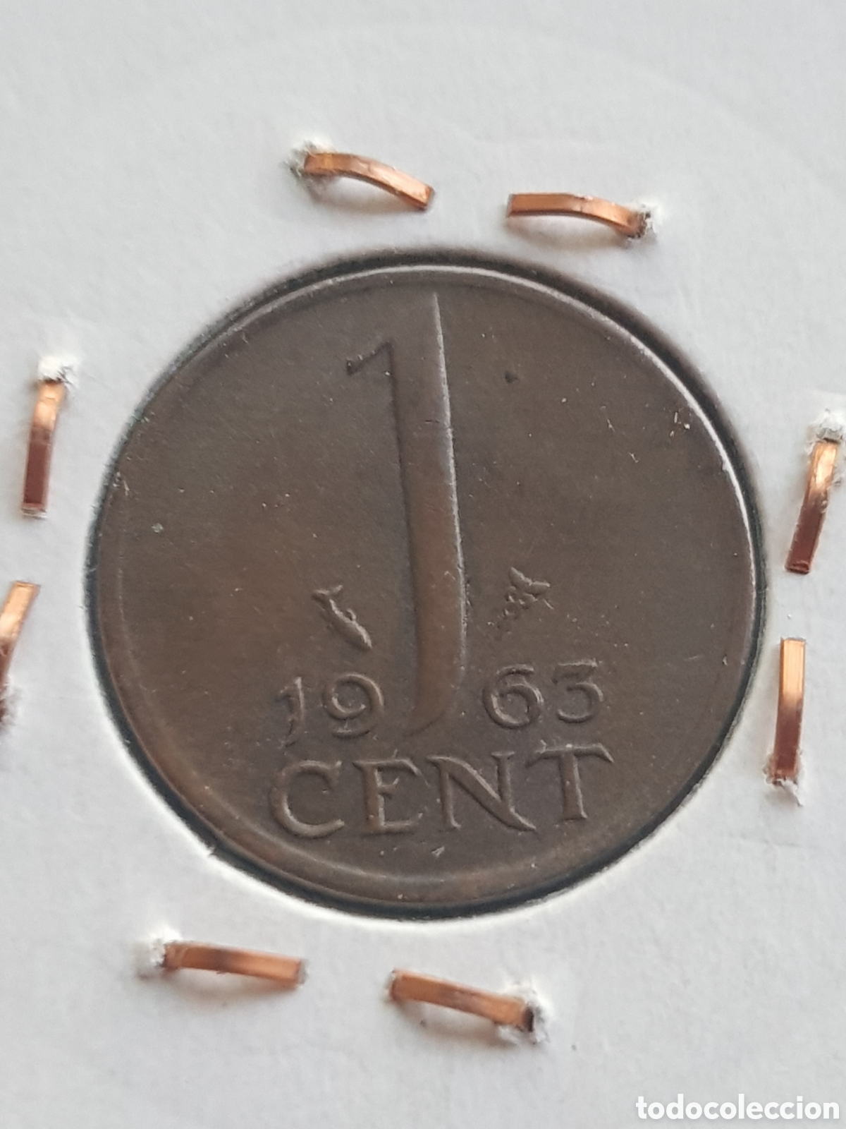 Monedas antiguas de Europa: 1 Cent 19 Holanda Cent Centimo de Gulden - Foto 1
