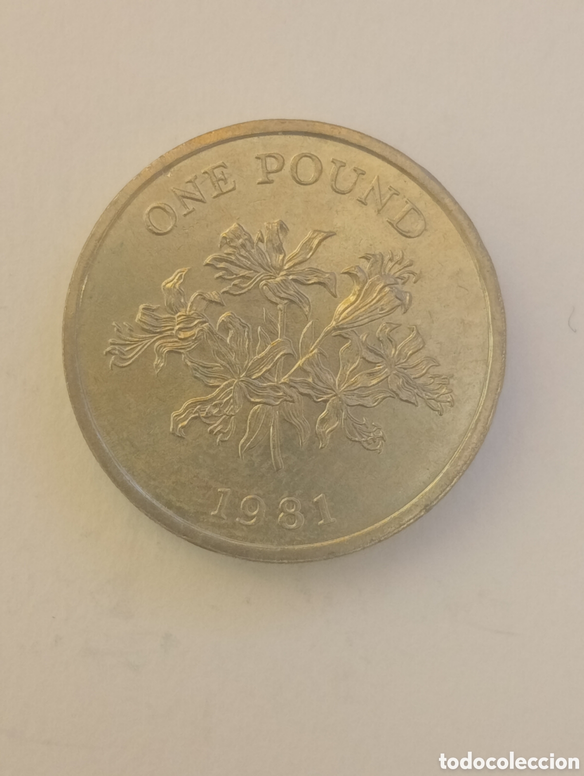 Monedas antiguas de Europa: GUERNSEY 1 POUND S/C - Foto 2