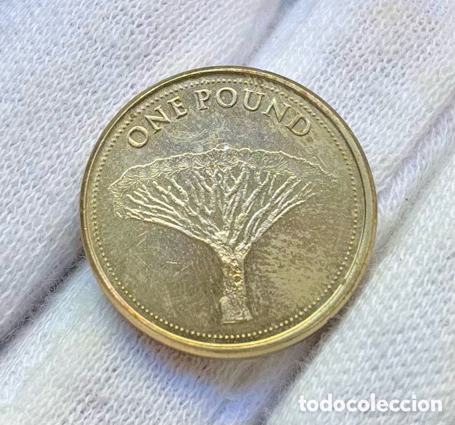 Monedas antiguas de Europa: Moneda GIBRALTAR 1 Libra 2016. Pound - Foto 1