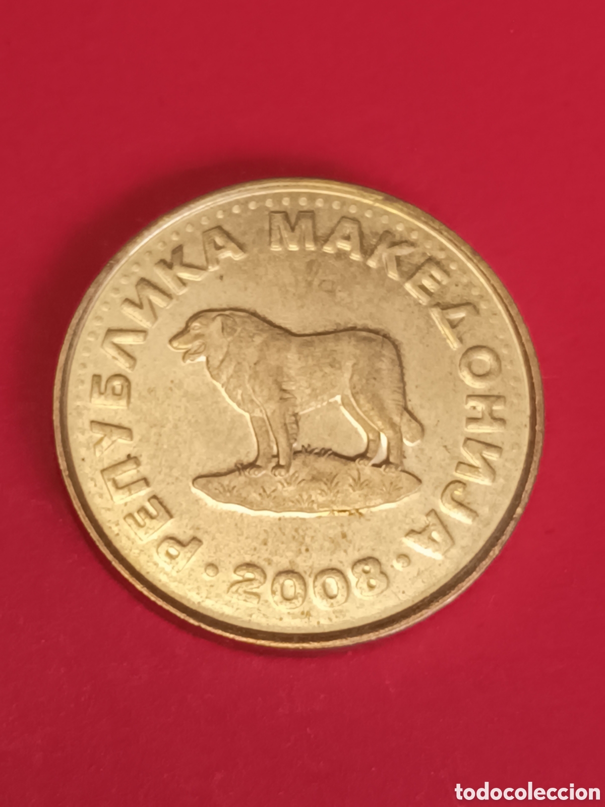 Monedas antiguas de Europa: MACEDONIA. 1 DINAR DE 2008. - Foto 1