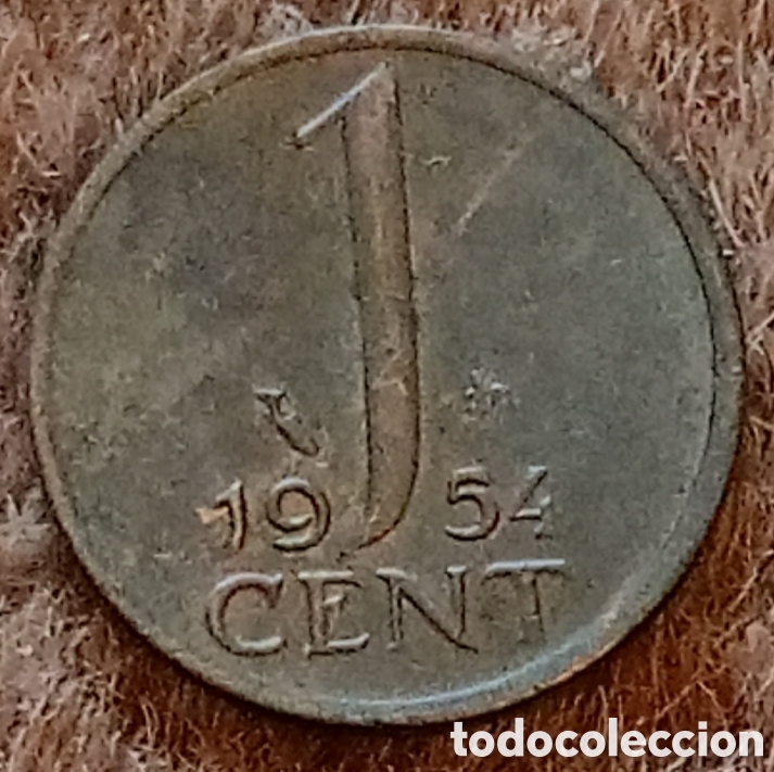 Monedas antiguas de Europa: Pa&iacute;ses Bajos 1955 - Moneda de 1 c&eacute;ntimo - Foto 1