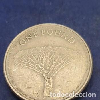 Monedas antiguas de Europa: Moneda 1 libra 2016 Gibraltar - Foto 2