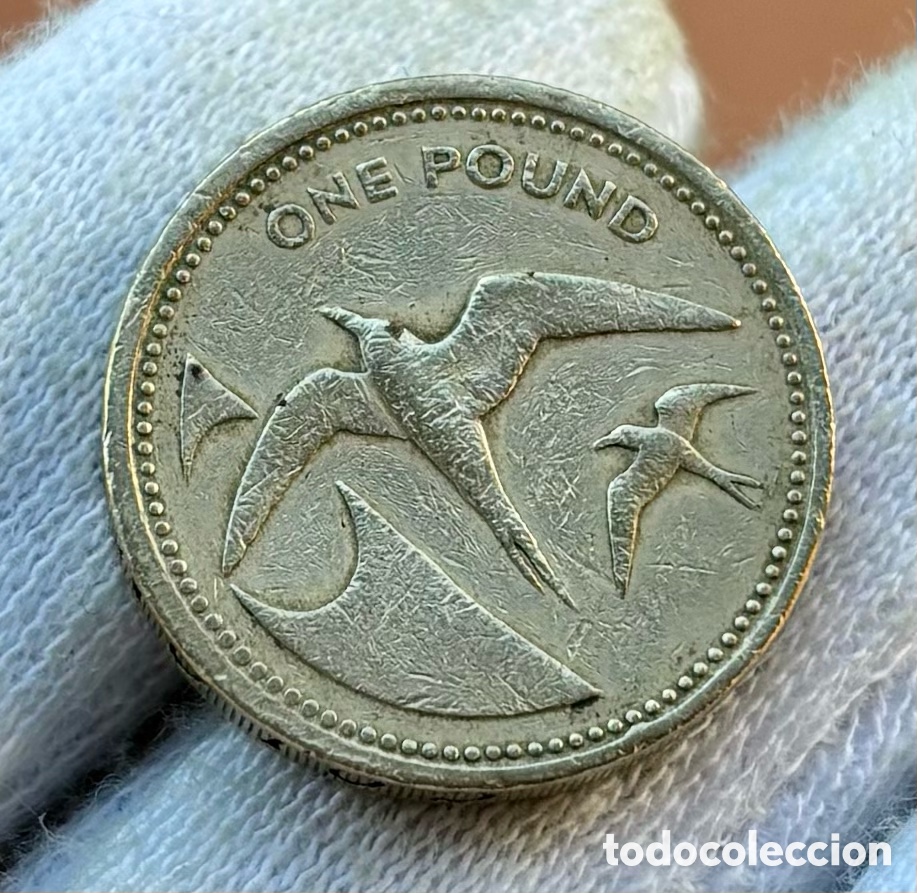 Alte M&uuml;nzen aus Europa: Moneda SANTA ELENA & ASCENCION 1 Libra 1984. Pound St Helena