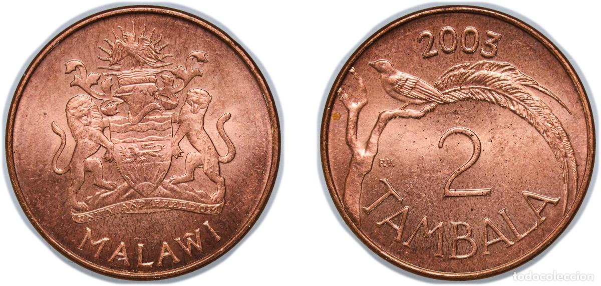 Monedas antiguas de Europa: Malawi Republic 2003 2 Tambala Copper plated steel 3.55g BU KM 34a