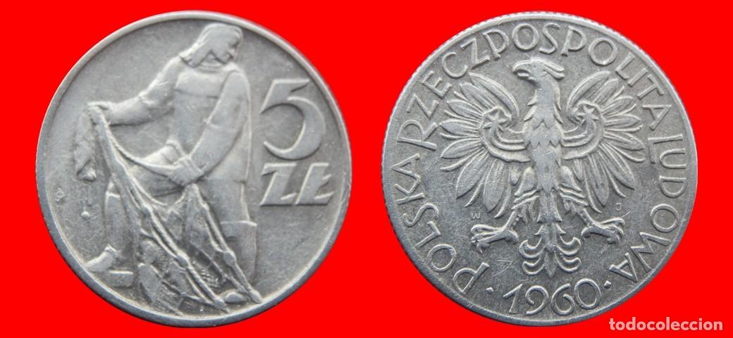Monete antiche di Europa: 5 ZLOTE ZLOTYCH 1960 POLONIA-139549