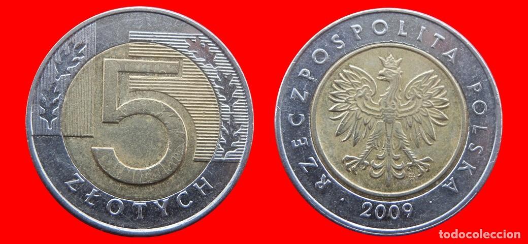Monete antiche di Europa: 5 ZLOTE ZLOTYCH 2009 POLONIA-139550