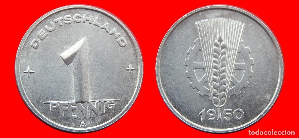 Monedas antiguas de Europa: 1 PFENNIG 1950A ALEMANIA REPUBLICA DEMOCRATICA DDR-139620
