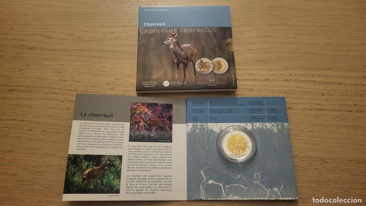 Monete antiche di Europa: CARTERA 5 EUROS LUXEMBURGO 2025 CIERVO EUROPEO PROOF PP. SOLO 2000 UNIDADES