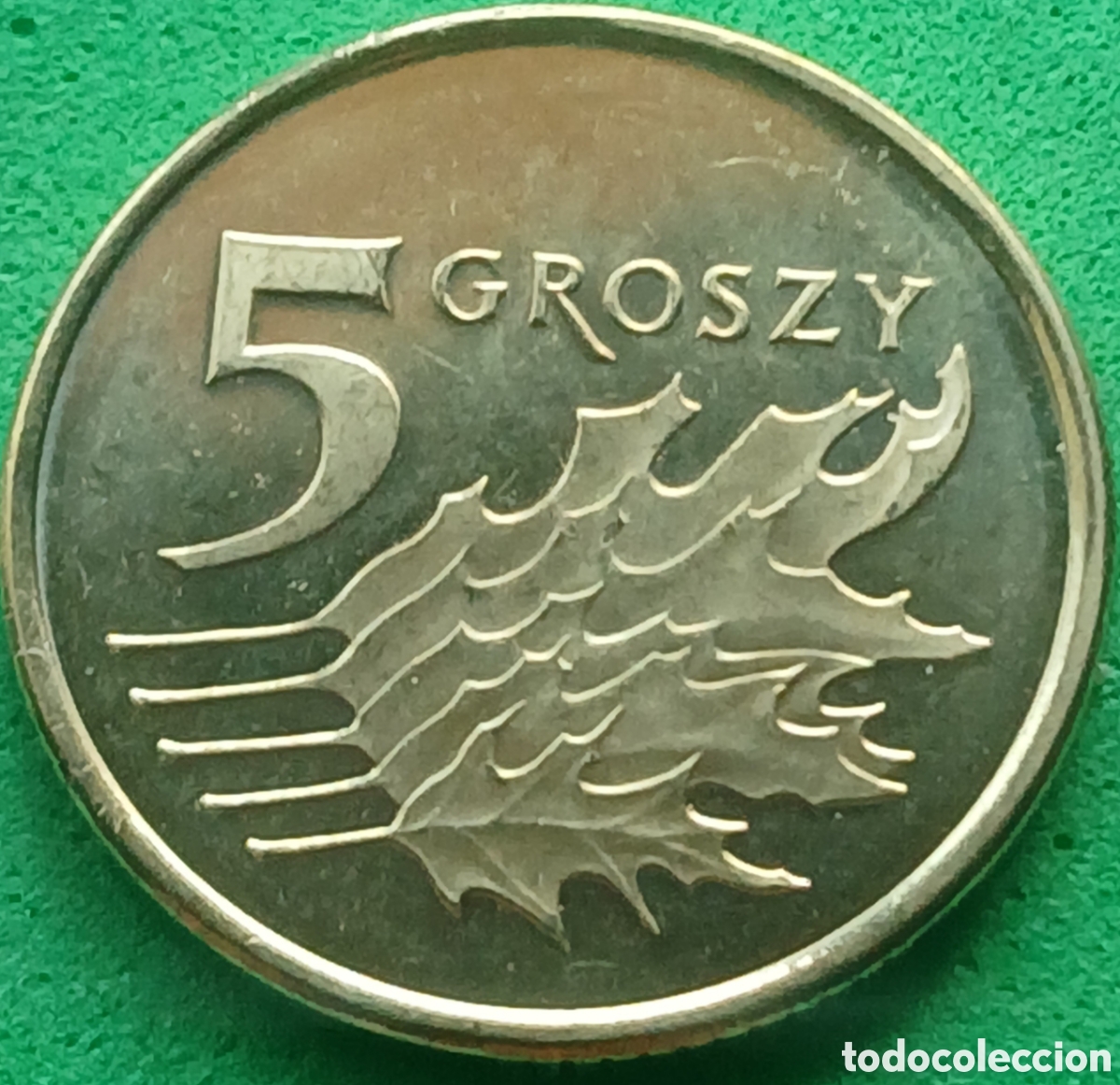 Monedas antiguas de Europa: Polonia 5 groszy 2025 UC#6 poco com&uacute;n