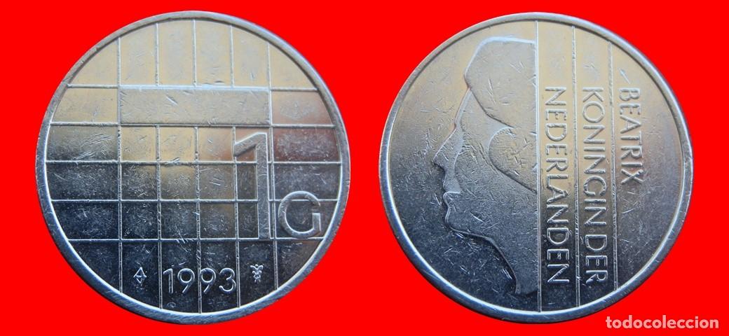 Monedas antiguas de Europa: 1 GULDEN 1993 HOLANDA PAISES BAJOS-143580