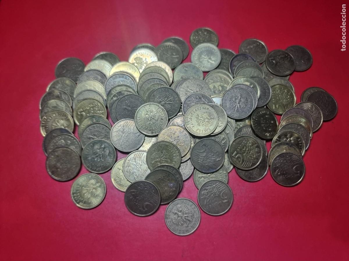 Monedas antiguas de Europa: GRAN LOTE 100 MONEDAS 5 GROSZY POLONIA