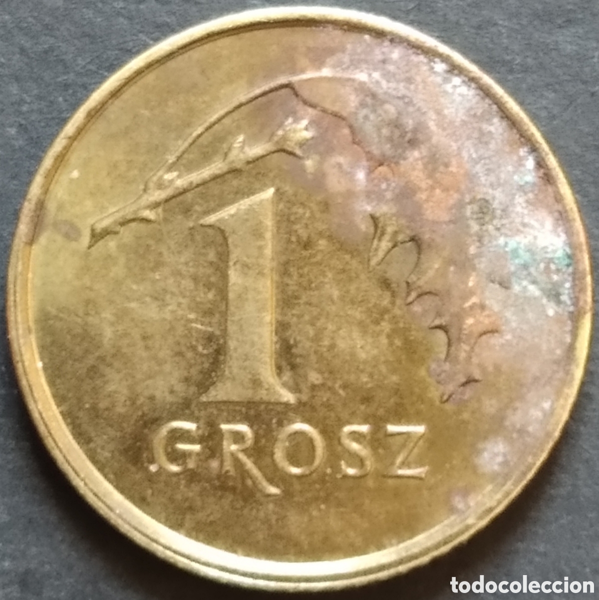 Monedas antiguas de Europa: MONEDA - POLONIA 1 GROSZ 2018